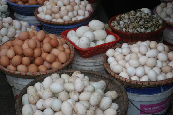 Market fresh eggs