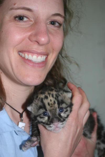 Wendy and a Clouded leopard cub