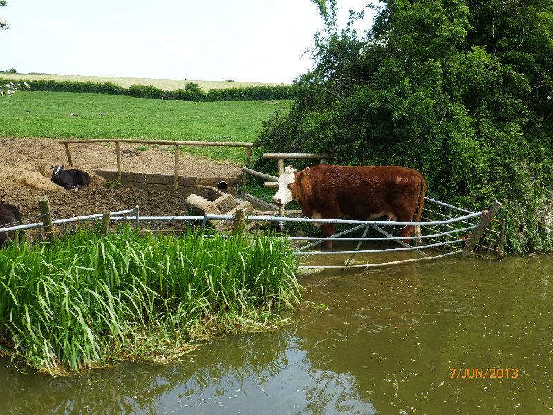 Canal = water trough...