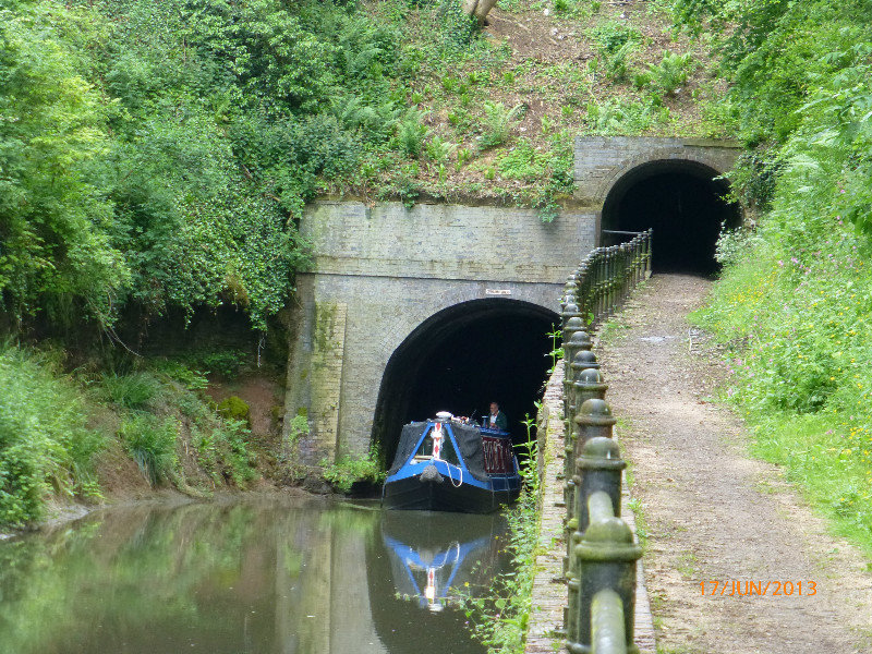 Dunlin emerging from Shrewley Tunnel.