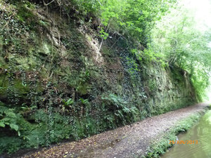 Woodseave Cutting and the sandstone.