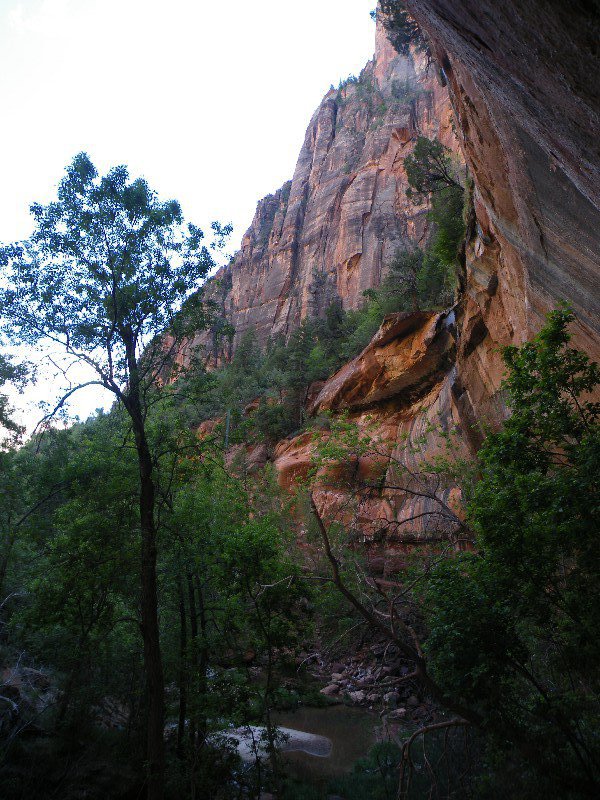 grand and zion canyons 049