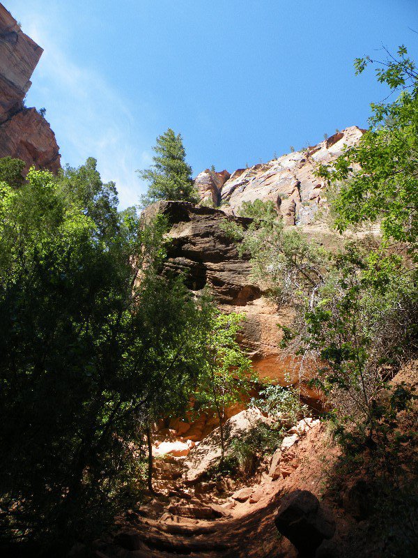 grand and zion canyons 051
