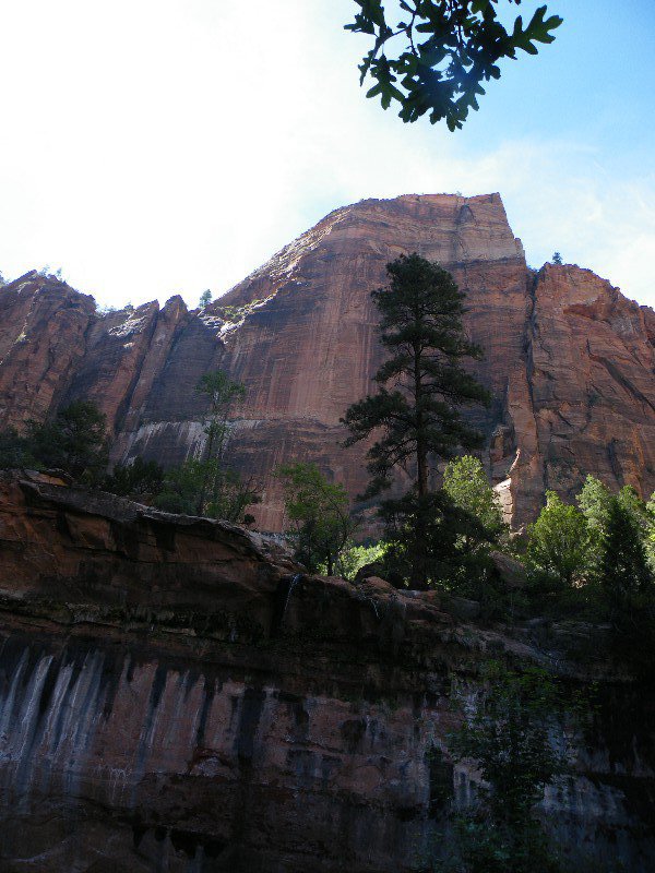 grand and zion canyons 050
