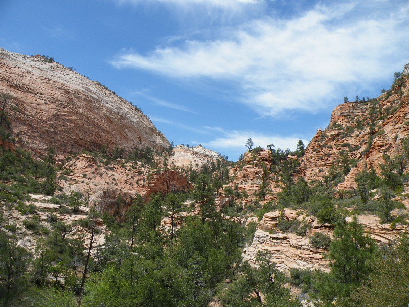 grand and zion canyons 059