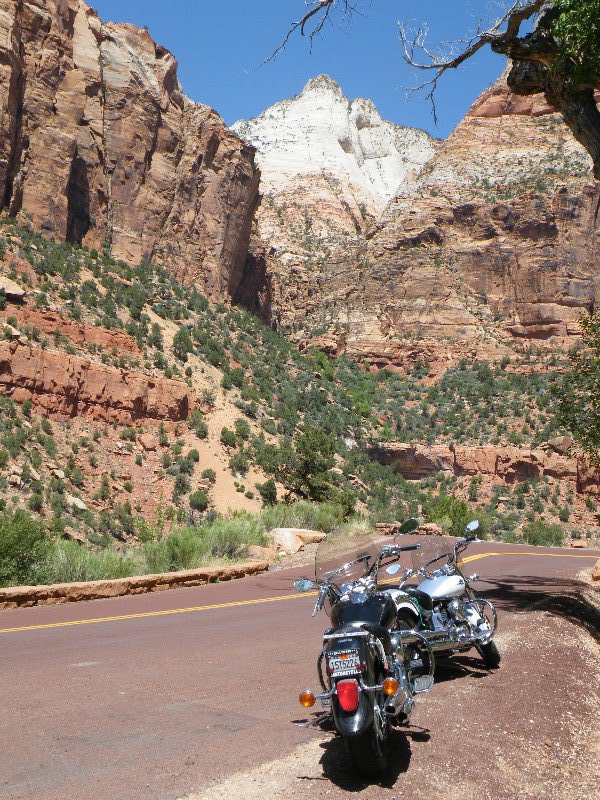 grand and zion canyons 058