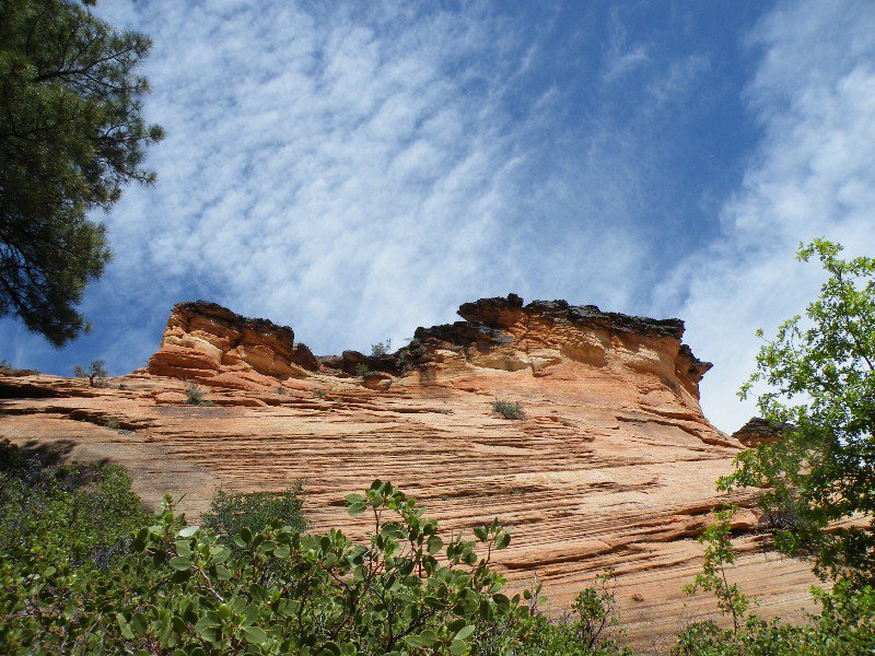grand and zion canyons 064