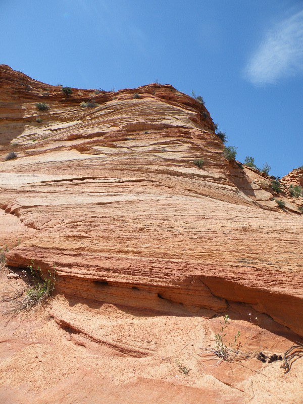 grand and zion canyons 065