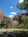 grand and zion canyons 044