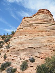 grand and zion canyons 061