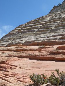 grand and zion canyons 066