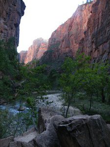 Copy of grand and zion canyons 076
