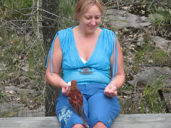 Tracey with parrots