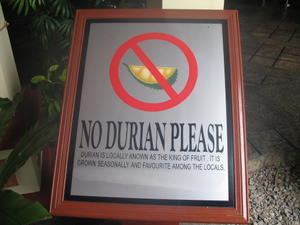 The Holiday villa's approach to the Durian Fruit !!