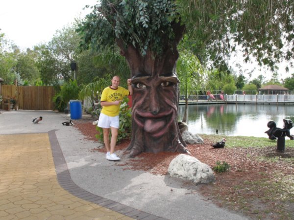 The smiling tree