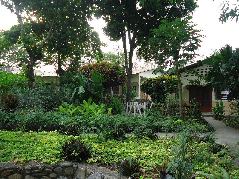 Garden and Hospitalito