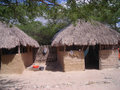 Wayuu houses