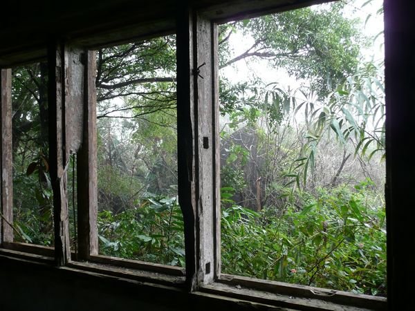 Cool photo looking out of the once royal holiday residence on Bokor
