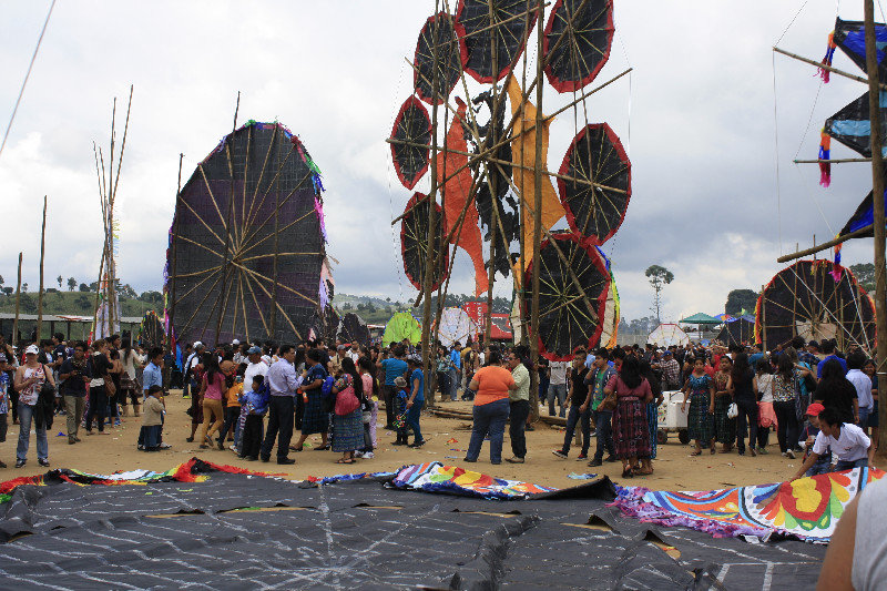 Back of large kites
