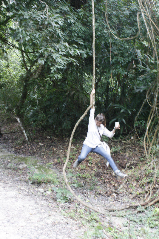 vine swinging