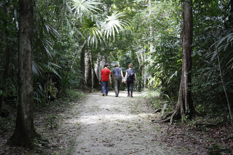 Walking the path through Tikal