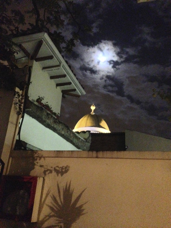 Full Moon View Over Garden Wall