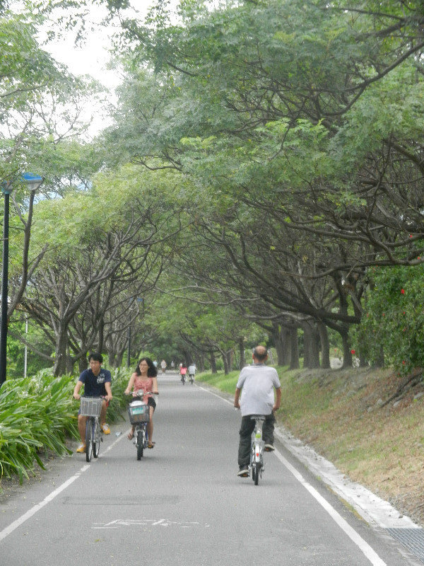 The Cycleway