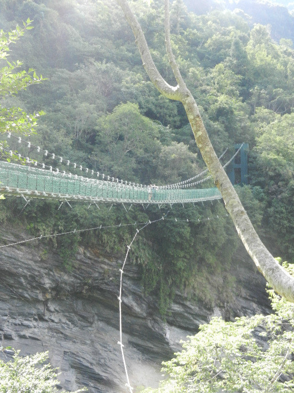 Walami Trail suspension bridge