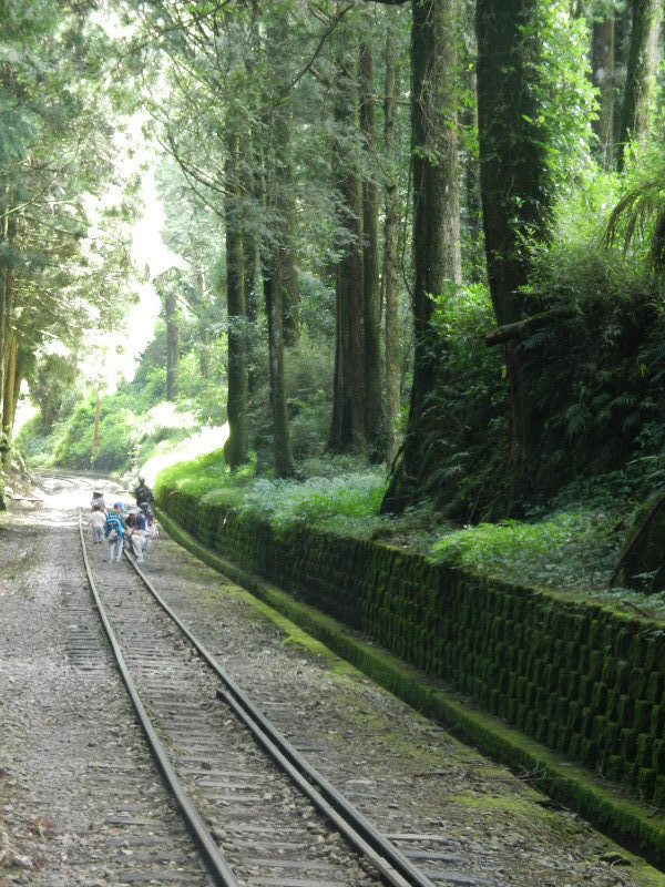 Disused section of the Alisan railway line