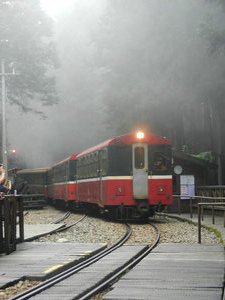 Train emerging through the mist
