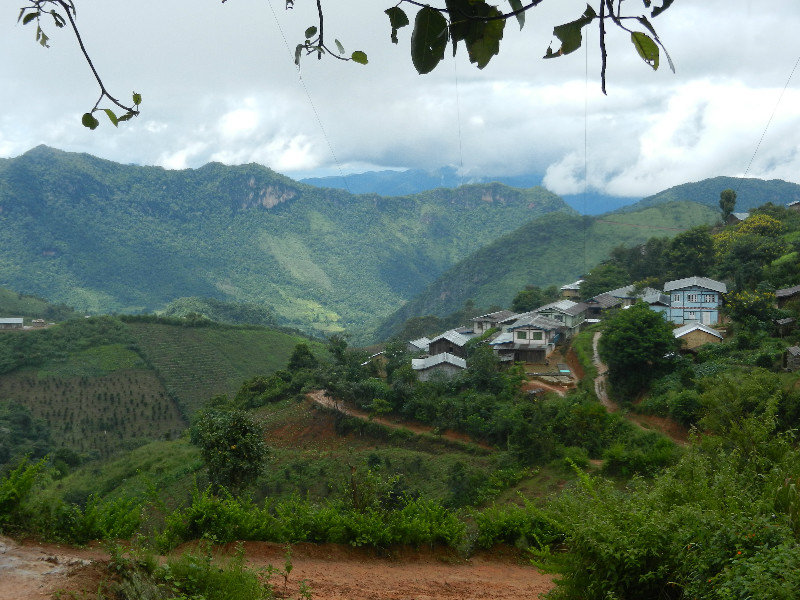 View across the orange and tea plantations