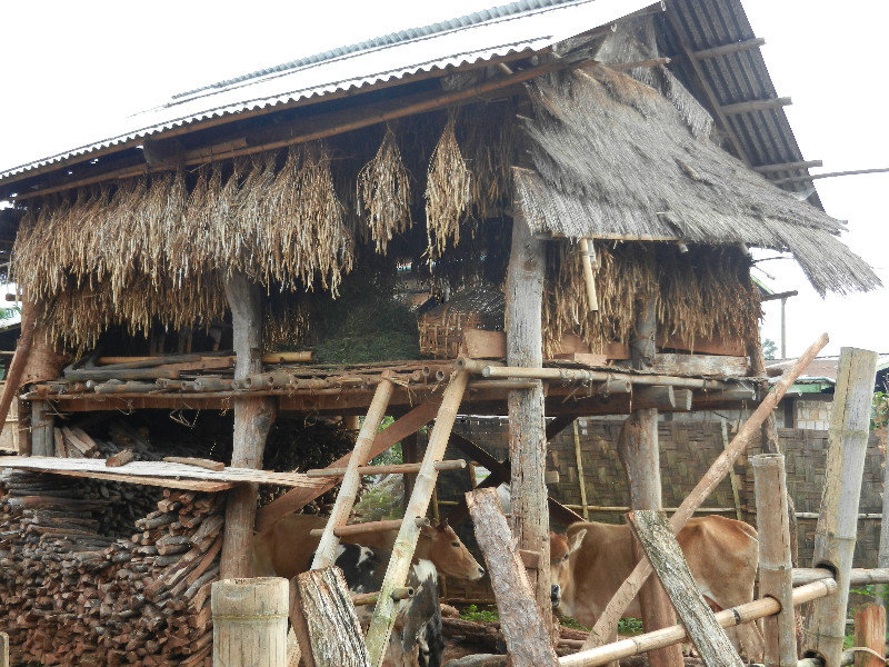 Store - wood underneath, crops on top