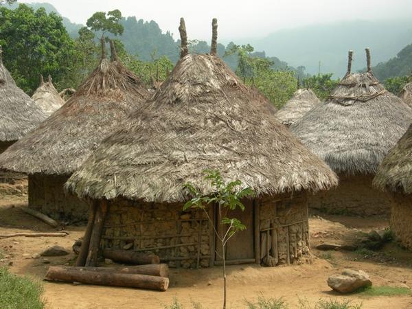 Village of 50 Indigenous People