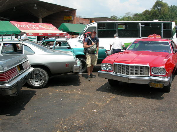 Lovin the Muscle Cars