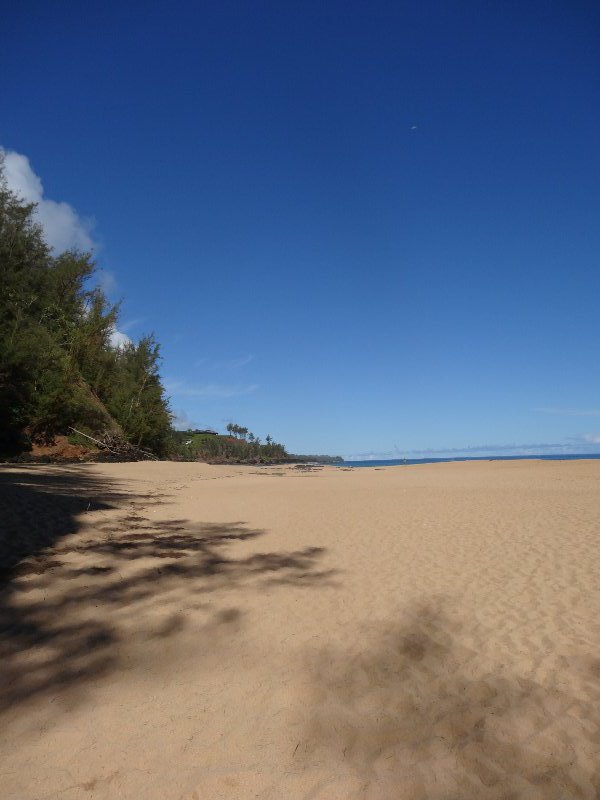Our secret beach on kauai, beautiful!