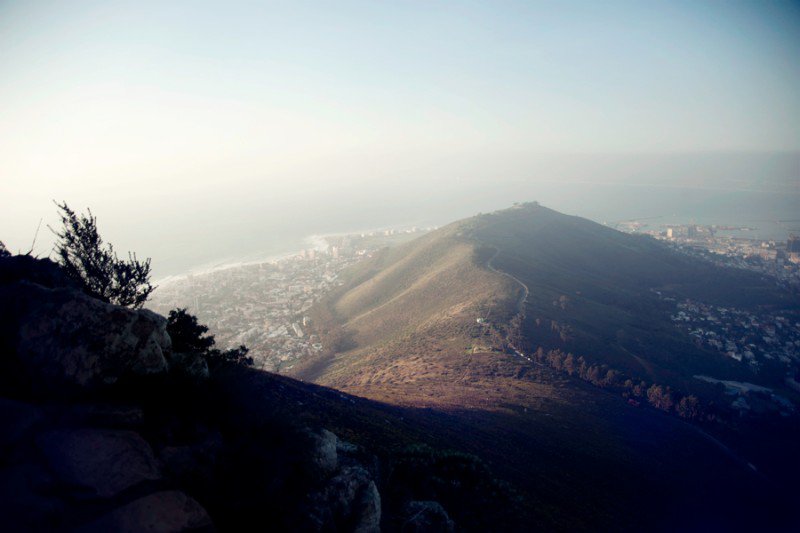 view of lions bum from lions head