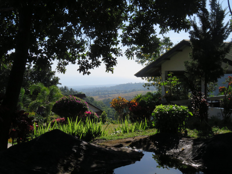 View from the hotel in Senaru