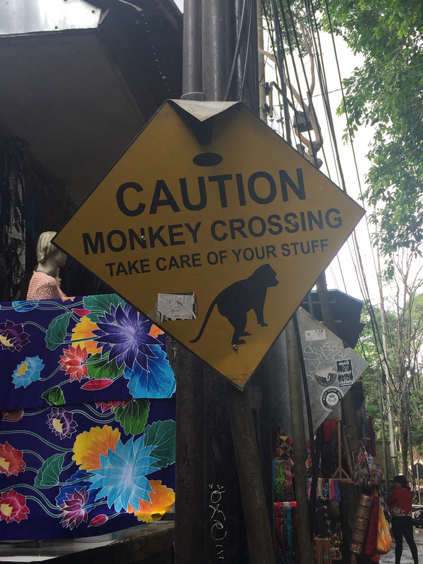 Be careful of the monkeys!