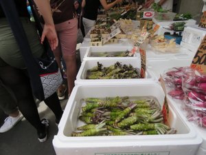 Wasabi root at the market
