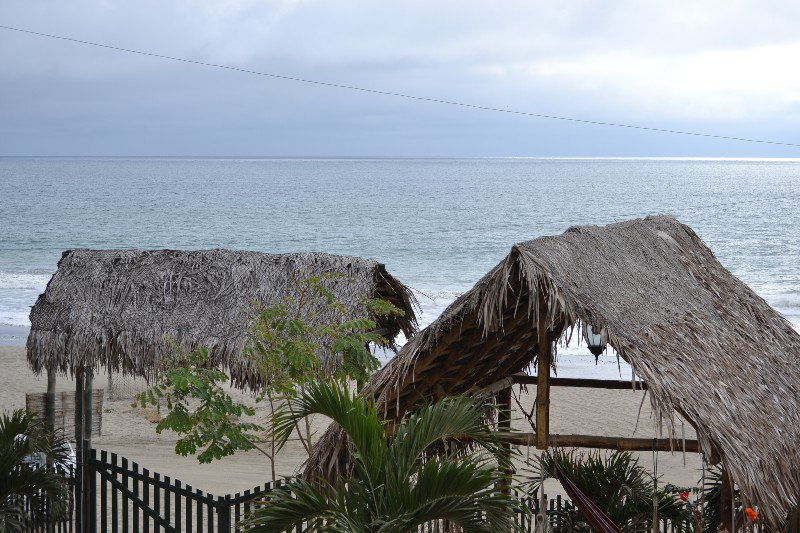 Guest house Palapa