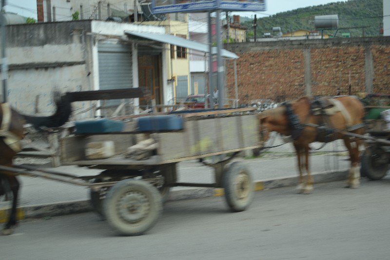 Horse drawn carts waiting for a load