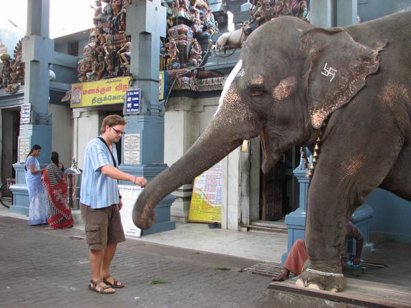 Pondicherry, Tamil Nadu, Inde