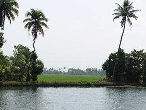 Alleppey, Kerala, Inde