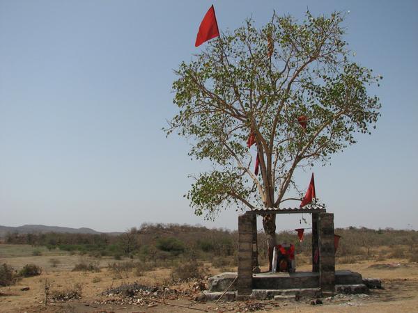 Sasan Gir, Gujarat, Inde