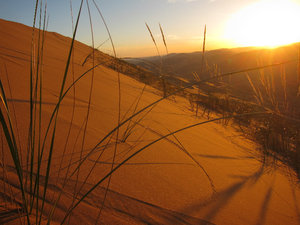 At sunset over the desert