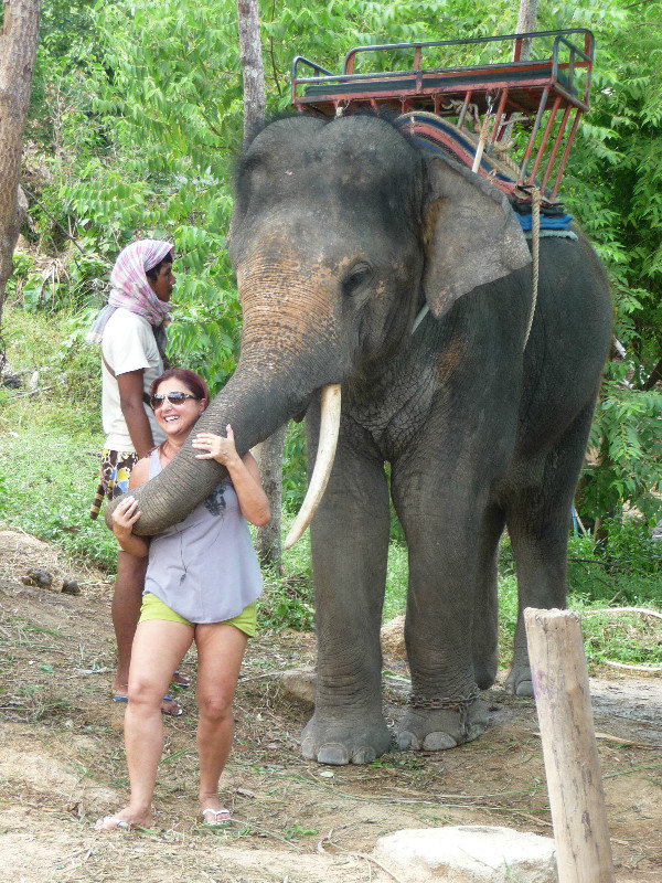 elephant hugging a tourist