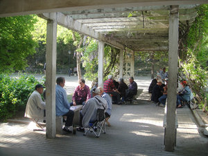 the elder are playing cards in the park