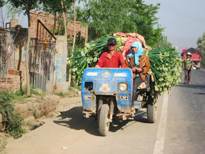 on the way to the market