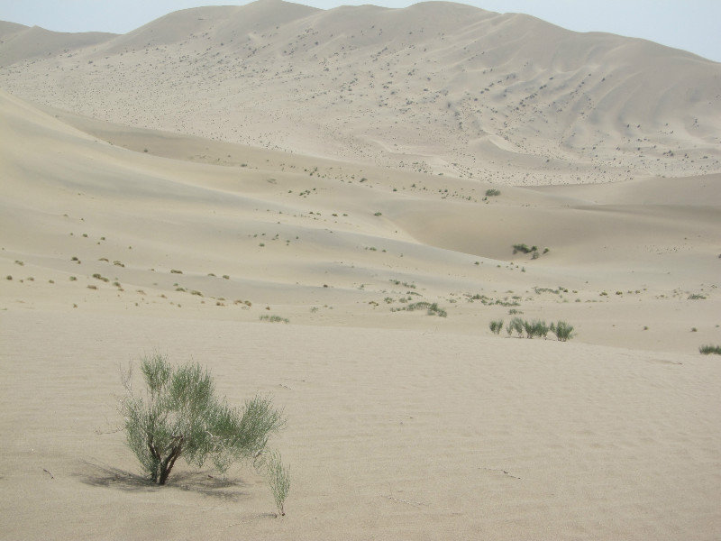Dunhuang desert