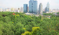 looking at the modern side of Urumuqi from Hong Shan Park